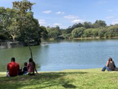 Parque Ibirapuera em São Paulo