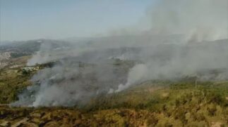 Um grande incêndio atingiu neste domingo (22) o Parque Estadual Juquery, em Franco da Rocha, na região metropolitana de São Paulo.