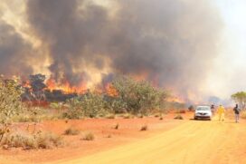 Parque Estadual do Juquery, atingido por inc&ecirc;ndio em agosto de 2021