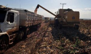 Em 2023, a economia nacional teve impulso do aumento da safra de grãos, cujo efeito no PIB está mais localizado no início do ano