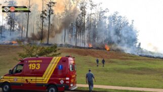 Incêndio em mata de Piracicaba após queda de avião no bairro Santa Rosa; causas da tragédia serão investigadas