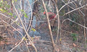 Antes da chuva, a força-tarefa extinguiu seis incêndios na região