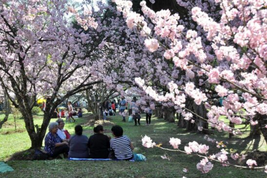 A tend&ecirc;ncia para os pr&oacute;ximos dias at&eacute; o feriado de Finados, na ter&ccedil;a-feira (2), &eacute; que o tempo siga inst&aacute;vel com muita nebulosidade