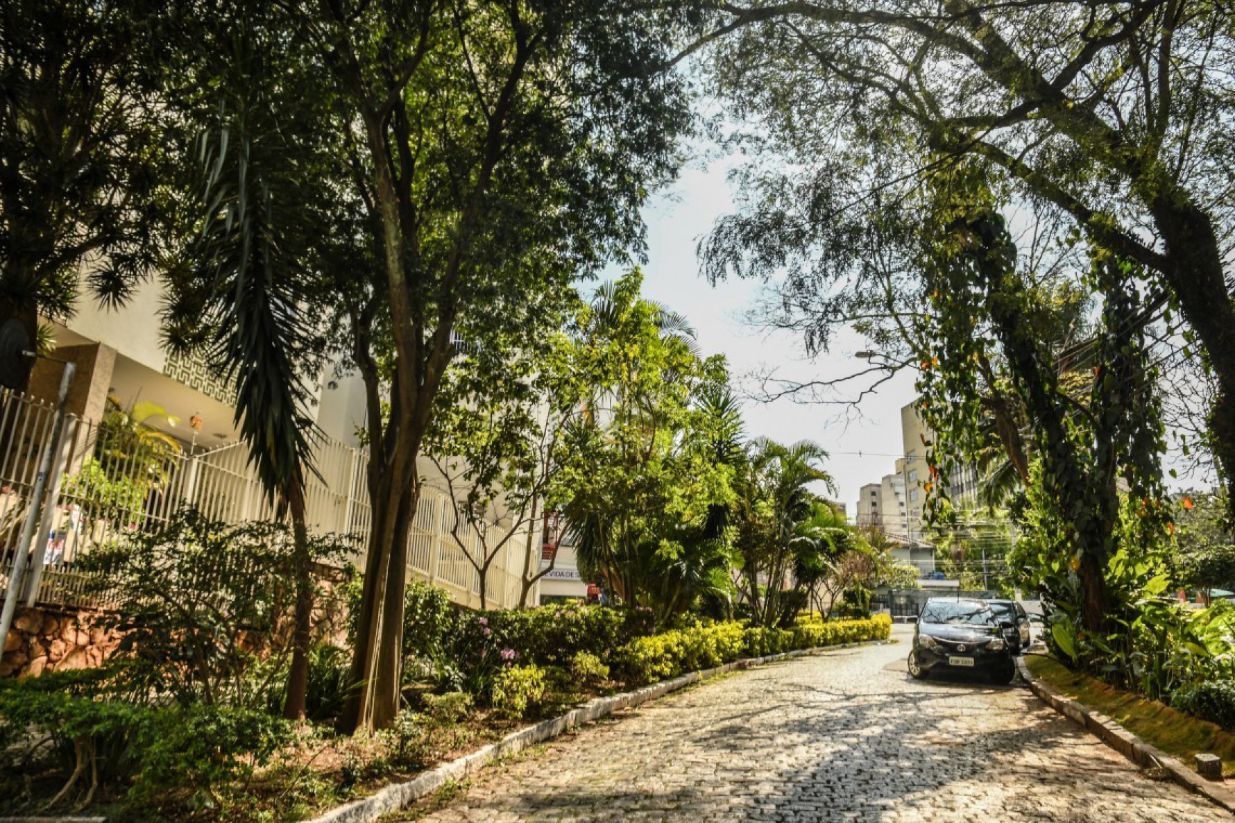 Estado de São Paulo mantém cerca de um terço de sua área total coberta por Mata Atlântica
