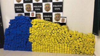 Policiais divulgaram imagens da carga apreendida