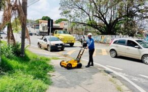 A remoção das árvores tem gerado polêmica na cidade de Sorocaba, no interior de São Paulo