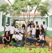 A horta foi criada numa área externa da escola que não tinha utilidade; a horta conta com alface, rúcula, cenoura e beterraba