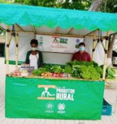 Feira do Produtor Rural começa a partir de domingo no centro