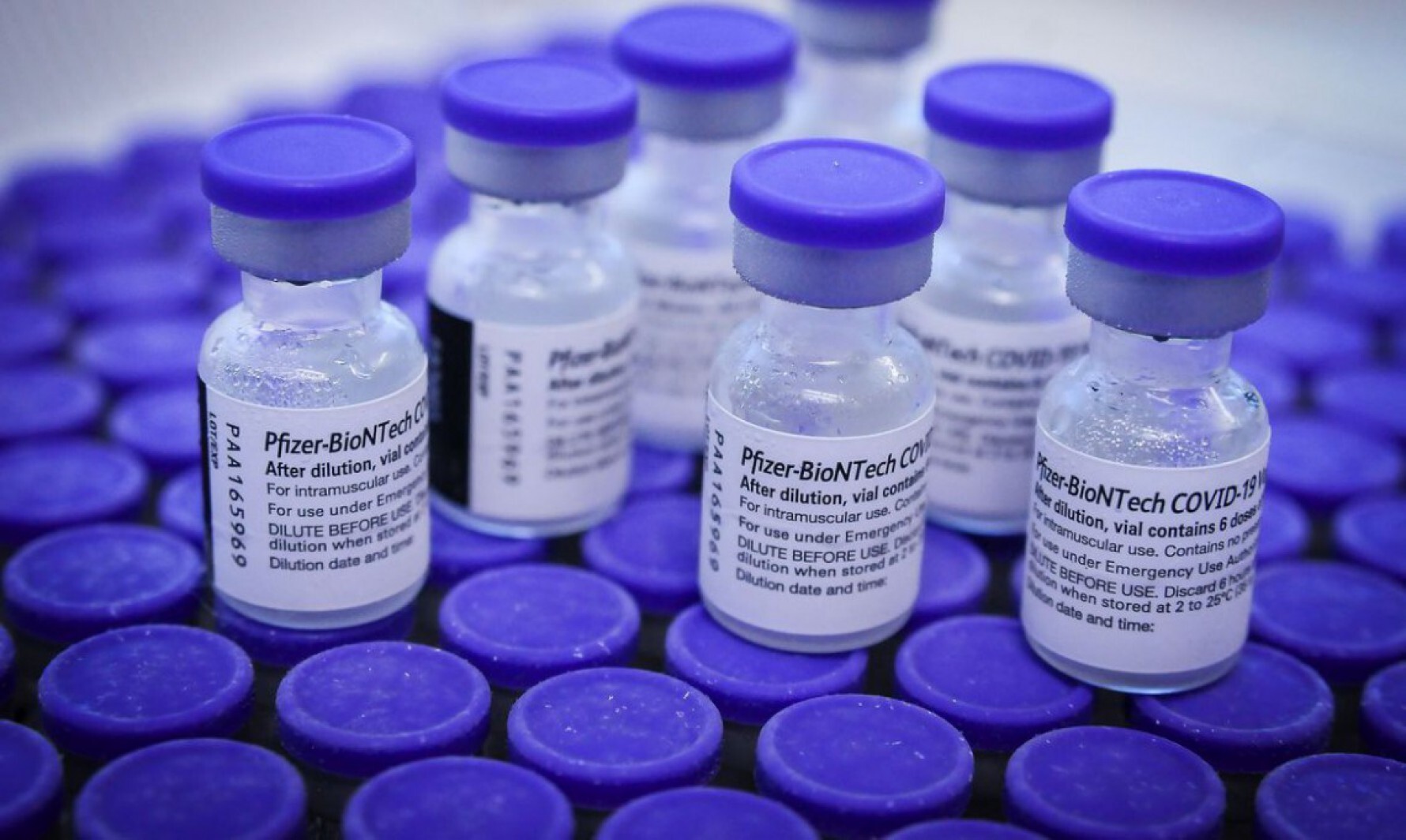 Segundo a prefeitura, 85,88% das pessoas com mais de 12 anos tomaram as duas doses ou vacina de dose única até segunda-feira