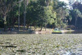 Parque Alberto Löfgren Horto Florestal