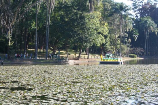 Parque Alberto Löfgren Horto Florestal