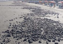 Bolas de lama intrigam moradores de Peruíbe