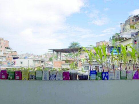 Outro destaque nesta vitrine global de solu&ccedil;&otilde;es pioneiras foi o projeto desenvolvido na Favela da Paz, no Jardim Nakamura, zona sul paulistana