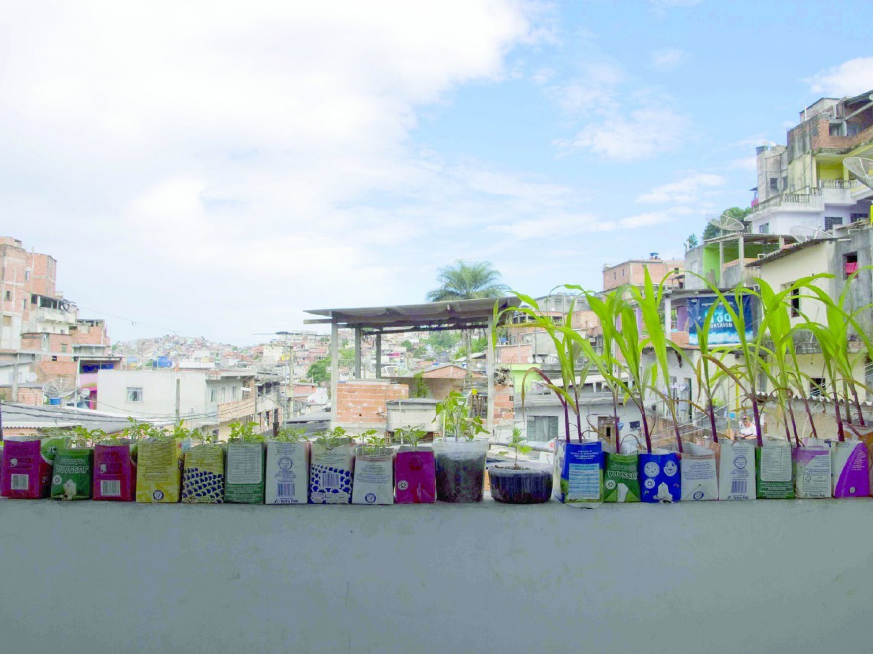Outro destaque nesta vitrine global de solu&ccedil;&otilde;es pioneiras foi o projeto desenvolvido na Favela da Paz, no Jardim Nakamura, zona sul paulistana