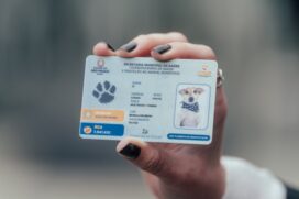 Documento garante acesso a diversos serviços públicos destinados ao pet