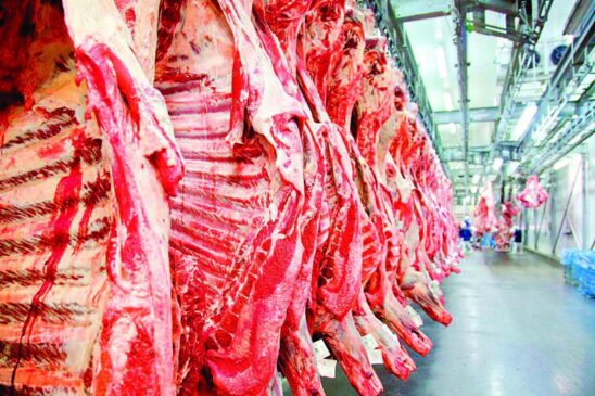 Negacionismo clim&aacute;tico derrubou exporta&ccedil;&atilde;o de carne em 43%