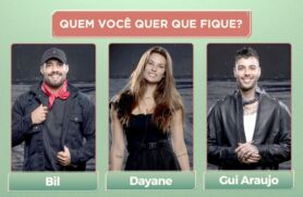Roça formada na Fazenda