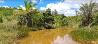 Fazenda em Camaçari, na Bahia, é o lote com o maior lance inicial
