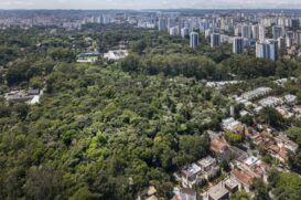 Vista da mata do Jardim Alfomares, remanescente de mata atlântica, na cidade de São Paulo (arquivo)