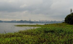Ação conta com apoio da Polícia Militar Ambiental