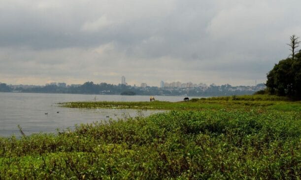 Ação conta com apoio da Polícia Militar Ambiental