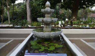 Jardim Botânico do Rio