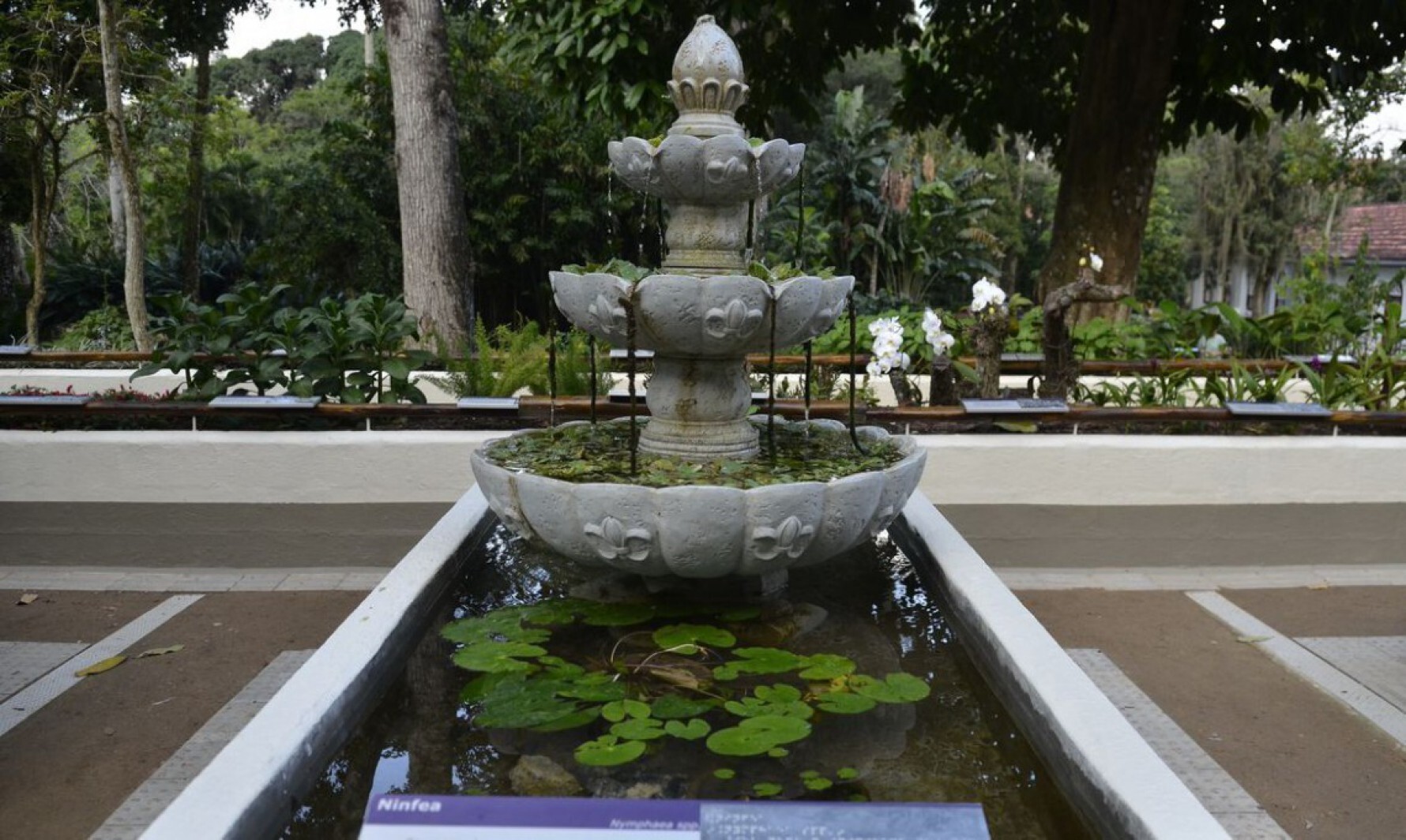 Jardim Botânico do Rio