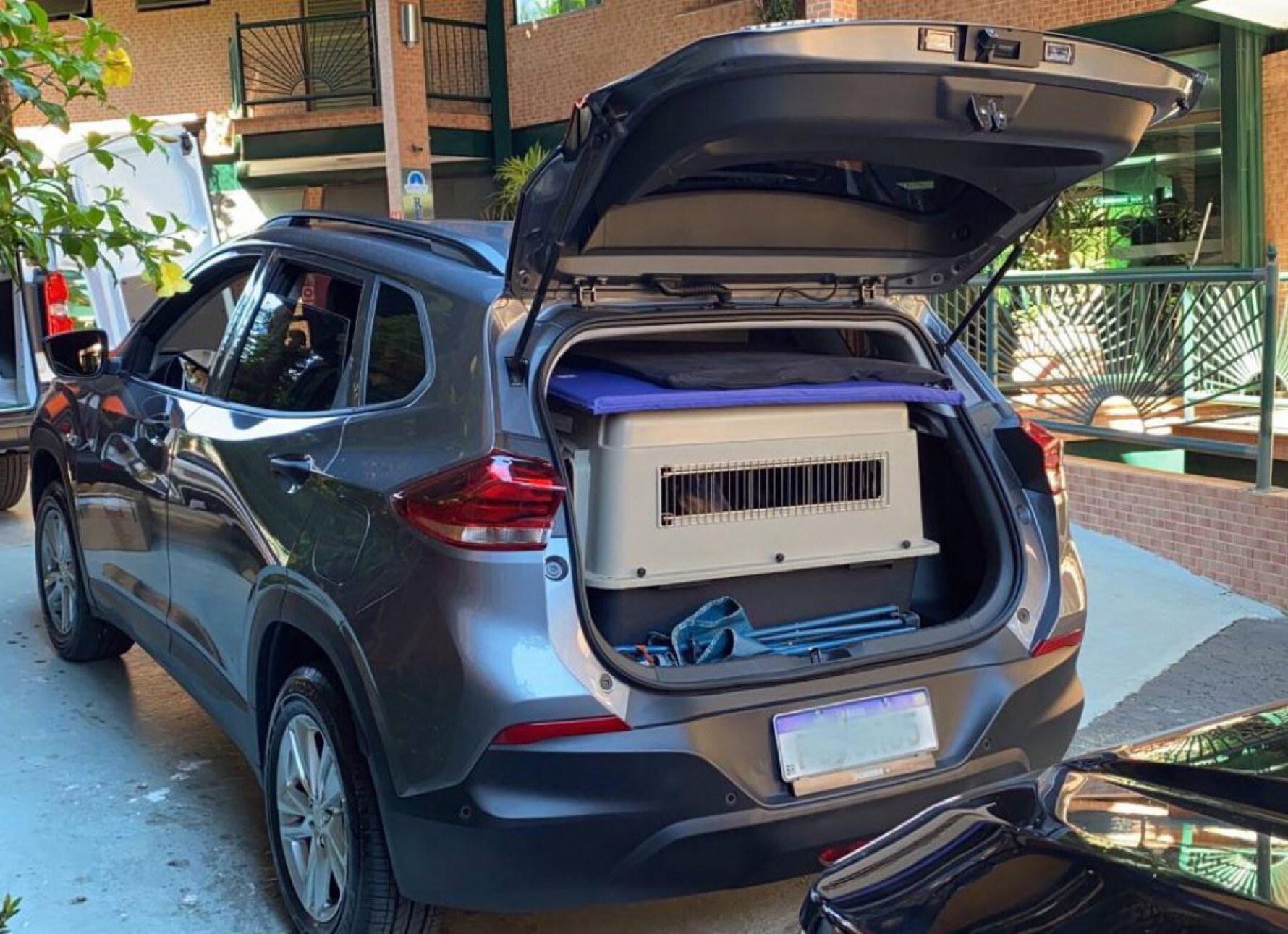 Acomodar o pet em uma caixa de transporte é muito importante para que neste espaço ele possa descansar