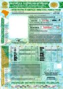 Nova Carteira Nacional de Habilitação