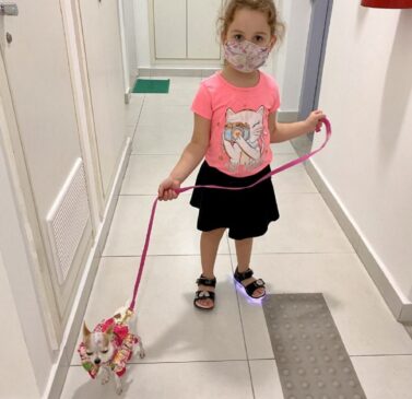 Passear com seu cãozinho é a ocasião mais divertida pra ele, porque interage em ambiente diferente