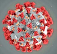 coronavirus