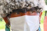 Indigena