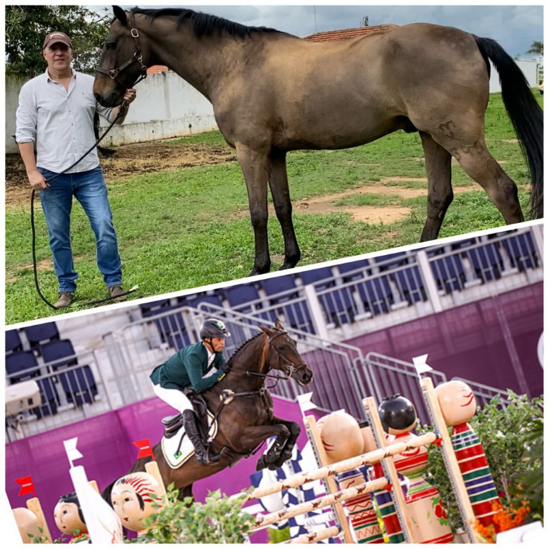 O cavalo olímpico