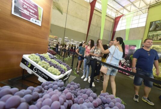 Edição da Festa da Uva de Jundiaí de 2020 foi realizada entre os meses de janeiro e fevereiro