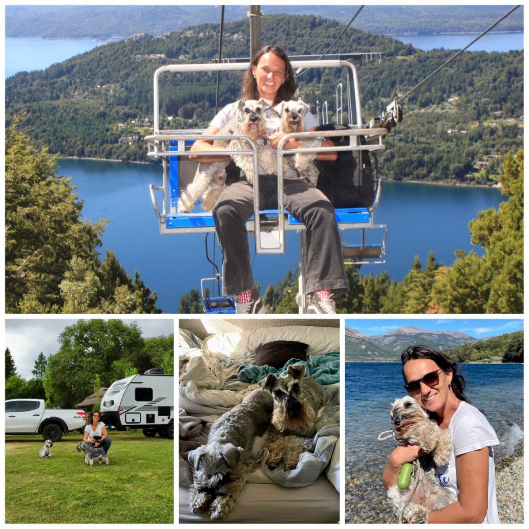 Paula Ribeiro e seus dois Schnauzers em uma viagem pela Patagônia