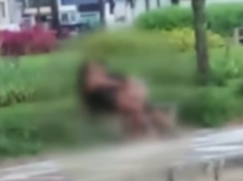 O vídeo mostra o casal em ato obsceno na orla de Santos-SP